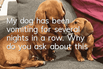 My dog ​​has been vomiting for several nights in a row. Why do you ask about this?