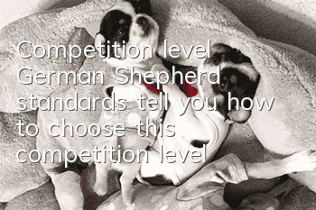 Competition level German Shepherd standards tell you how to choose this competition level dog!