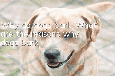 Why do dogs bark? What are the reasons why dogs bark?
