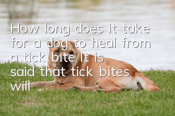 How long does it take for a dog to heal from a tick bite? It is said that tick bites will never heal on their own!