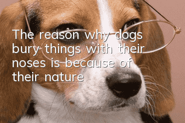 The reason why dogs bury things with their noses is because of their nature!