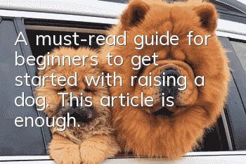 A must-read guide for beginners to get started with raising a dog. This article is enough.