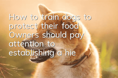 How to train dogs to protect their food? Owners should pay attention to establishing a hierarchy system