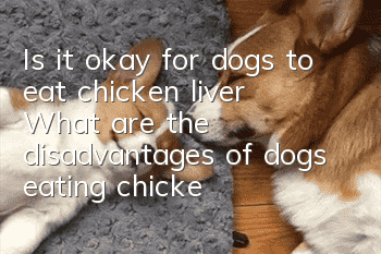 Is it okay for dogs to eat chicken liver? What are the disadvantages of dogs eating chicken liver?