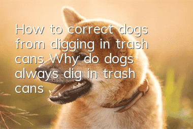 How to correct dogs from digging in trash cans Why do dogs always dig in trash cans?