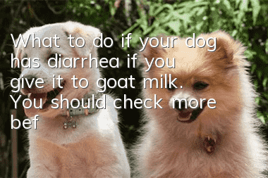 What to do if your dog has diarrhea if you give it to goat milk. You should check more before feeding goat milk!