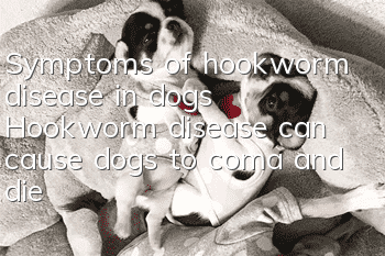 Symptoms of hookworm disease in dogs Hookworm disease can cause dogs to coma and die