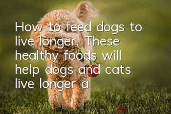 How to feed dogs to live longer. These healthy foods will help dogs and cats live longer and healthier