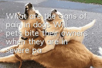 What are the signs of pain in dogs? Will pets bite their owners when they are in severe pain?