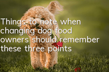 Things to note when changing dog food: owners should remember these three points