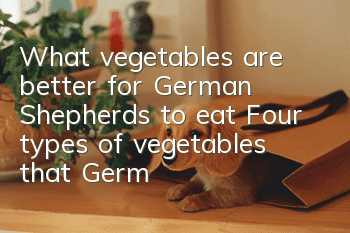 What vegetables are better for German Shepherds to eat? Four types of vegetables that German Shepherds should not eat.