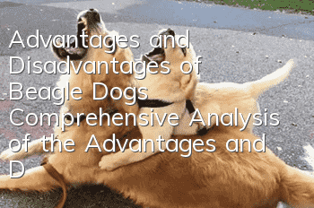 Advantages and Disadvantages of Beagle Dogs Comprehensive Analysis of the Advantages and Disadvantages of Beagle Dog Characters