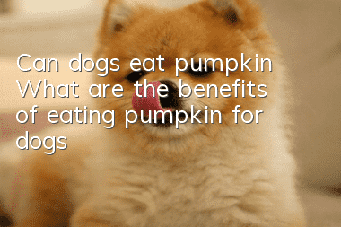 Can dogs eat pumpkin? What are the benefits of eating pumpkin for dogs?