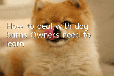 How to deal with dog burns? Owners need to learn