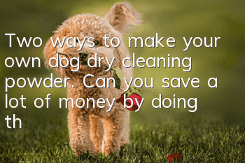 Two ways to make your own dog dry cleaning powder. Can you save a lot of money by doing this?
