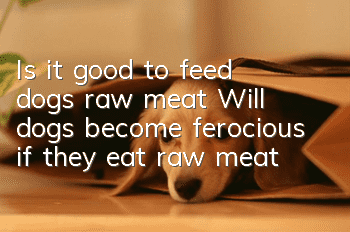 Is it good to feed dogs raw meat? Will dogs become ferocious if they eat raw meat?