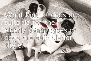 What kind of dogs are suitable for the elderly? What types of dogs are suitable for the elderly?