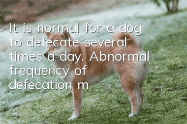 It is normal for a dog to defecate several times a day. Abnormal frequency of defecation may mean there is something wrong with the body.