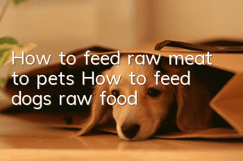 How to feed raw meat to pets How to feed dogs raw food