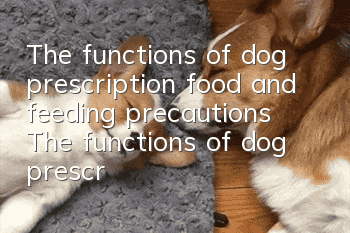 The functions of dog prescription food and feeding precautions The functions of dog prescription food