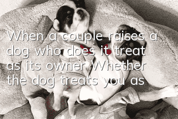 When a couple raises a dog, who does it treat as its owner? Whether the dog treats you as its owner depends on how much you pay.