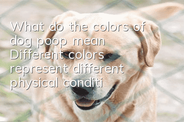 What do the colors of dog poop mean? Different colors represent different physical conditions of dogs.