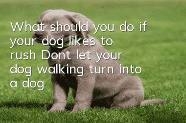 What should you do if your dog likes to rush? Don’t let your dog walking turn into a dog walking you!