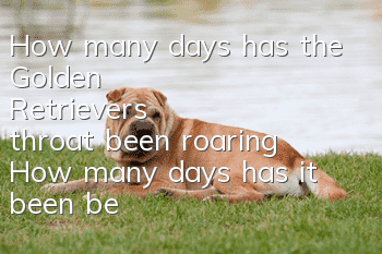 How many days has the Golden Retriever's throat been roaring? How many days has it been before you even think of asking?