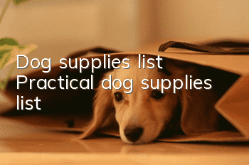 Dog supplies list Practical dog supplies list