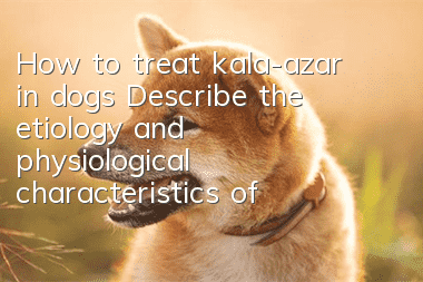 How to treat kala-azar in dogs? Describe the etiology and physiological characteristics of kala-azar in dogs.