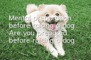 Mental preparation before raising a dog Are you prepared before raising a dog?