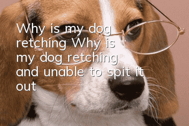 Why is my dog retching? Why is my dog retching and unable to spit it out?