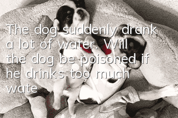 The dog suddenly drank a lot of water. Will the dog be poisoned if he drinks too much water?