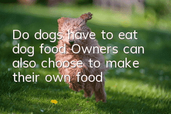 Do dogs have to eat dog food? Owners can also choose to make their own food