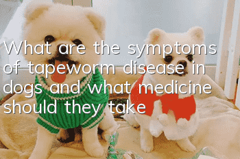 What are the symptoms of tapeworm disease in dogs and what medicine should they take?
