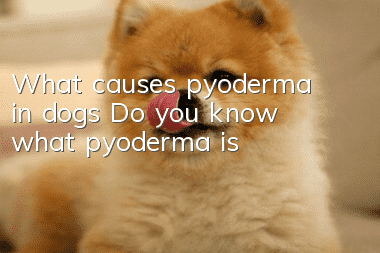 What causes pyoderma in dogs? Do you know what pyoderma is?