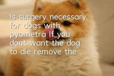 Is surgery necessary for dogs with pyometra? If you don’t want the dog to die, remove the uterus as soon as possible!