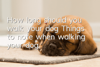 How long should you walk your dog? Things to note when walking your dog