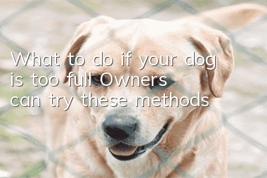 What to do if your dog is too full? Owners can try these methods