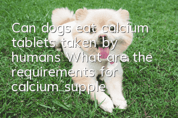 Can dogs eat calcium tablets taken by humans? What are the requirements for calcium supplementation for dogs?