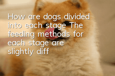 How are dogs divided into each stage? The feeding methods for each stage are slightly different.