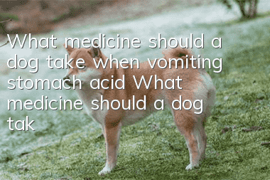 What medicine should a dog take when vomiting stomach acid? What medicine should a dog take when vomiting yellow, viscous liquid?