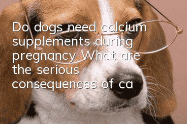 Do dogs need calcium supplements during pregnancy? What are the serious consequences of calcium deficiency in pregnant female dogs?
