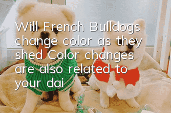Will French Bulldogs change color as they shed? Color changes are also related to your daily care.