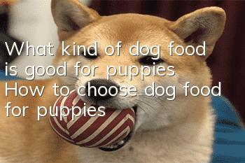 What kind of dog food is good for puppies? How to choose dog food for puppies?