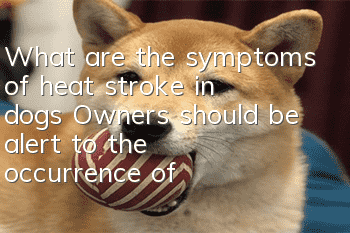 What are the symptoms of heat stroke in dogs? Owners should be alert to the occurrence of these symptoms.