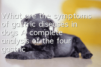 What are the symptoms of gastric diseases in dogs? A complete analysis of the four gastric diseases that dogs are susceptible to.