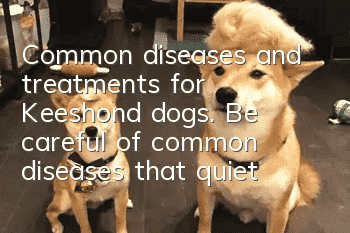 Common diseases and treatments for Keeshond dogs. Be careful of common diseases that quietly exist.
