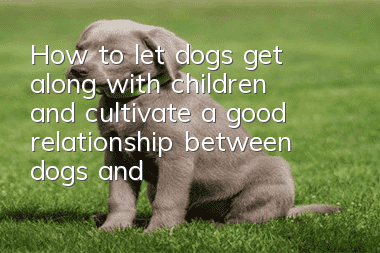 How to let dogs get along with children and cultivate a good relationship between dogs and babies