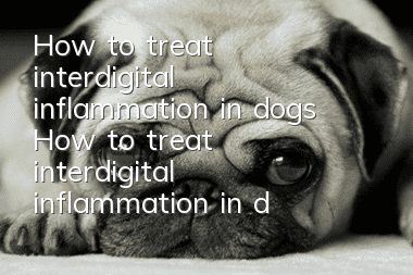 How to treat interdigital inflammation in dogs How to treat interdigital inflammation in dogs at home